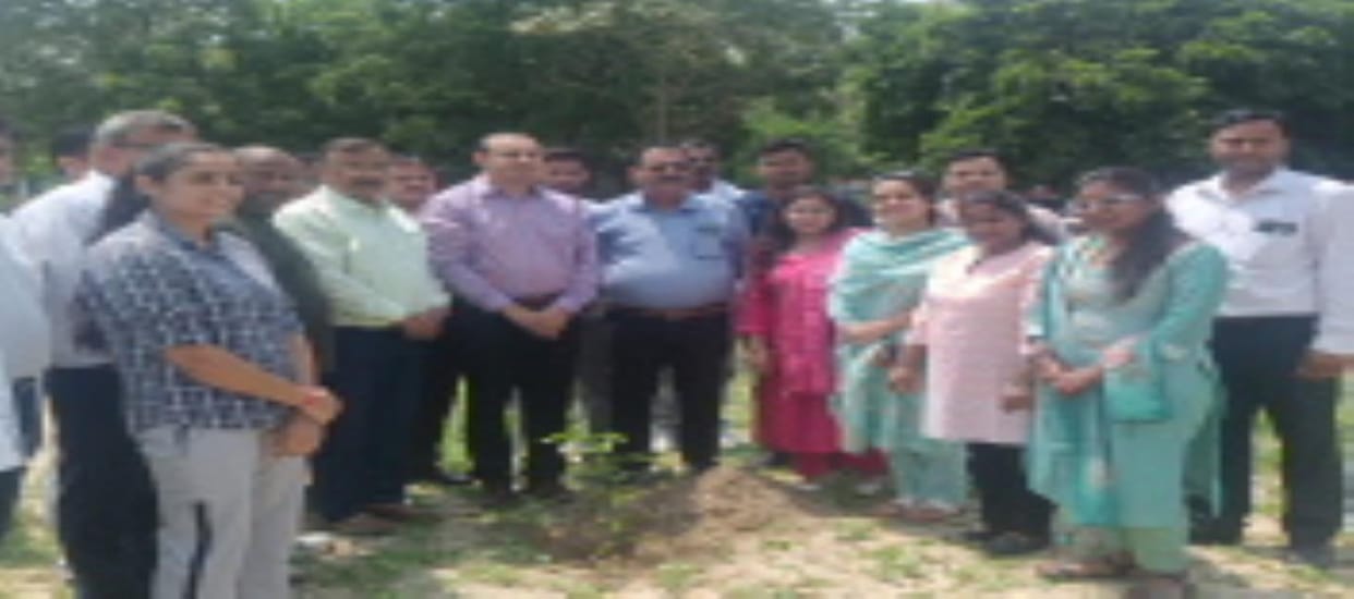 Emphasis on environmental protection and cleanliness
