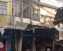 Monkeys attacked a woman, she died after falling from the roof