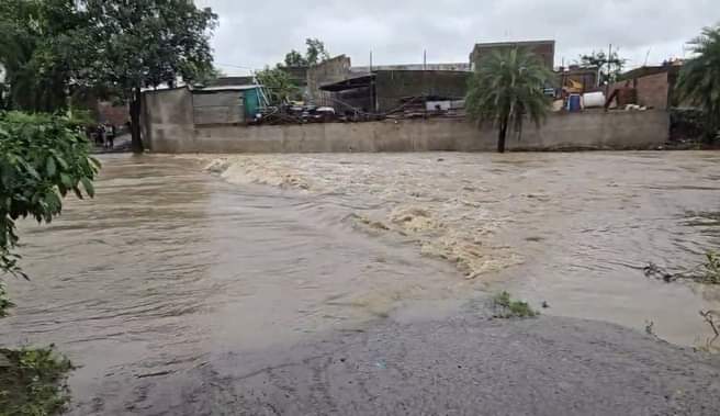 इसी नाले में बह गई महिला