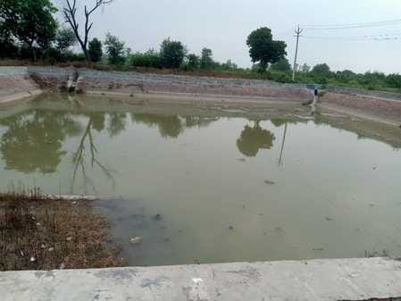 Canal water is not reaching the tail, crops are affected