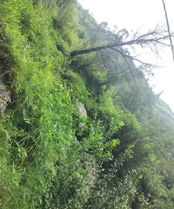 Landslide on 50 bigha land between Newli and Keuli