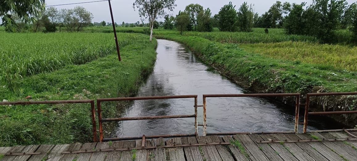Why does the old Ganga become poisonous during the rainy season