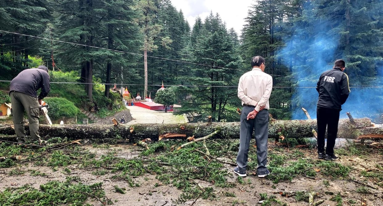 Two cedar trees fell on petrol pump due to heavy rain