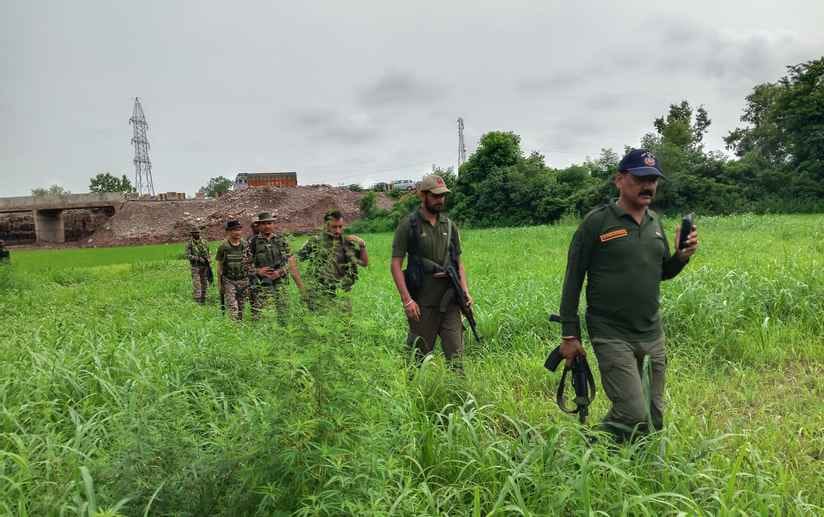 kathua news, militant activity news, search operation news