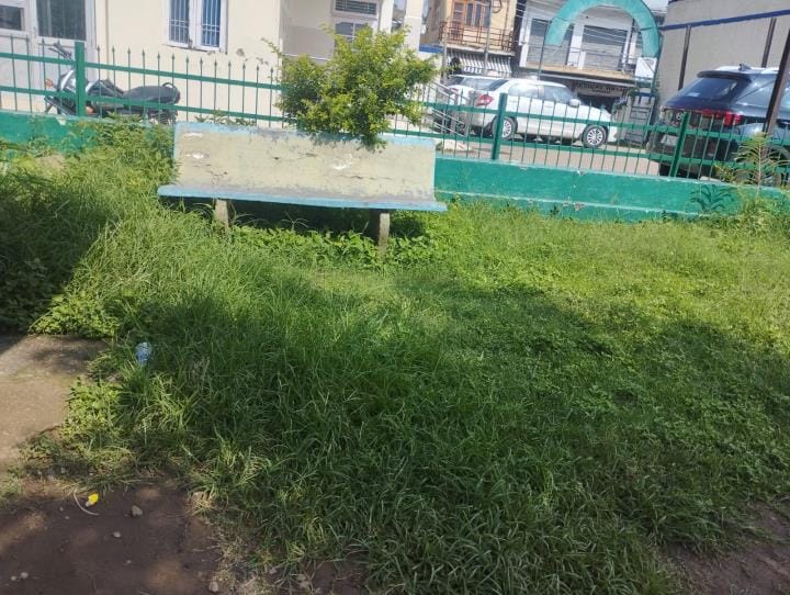 Ramnagar, Hospital, Grass in Park, Patient Face Problems