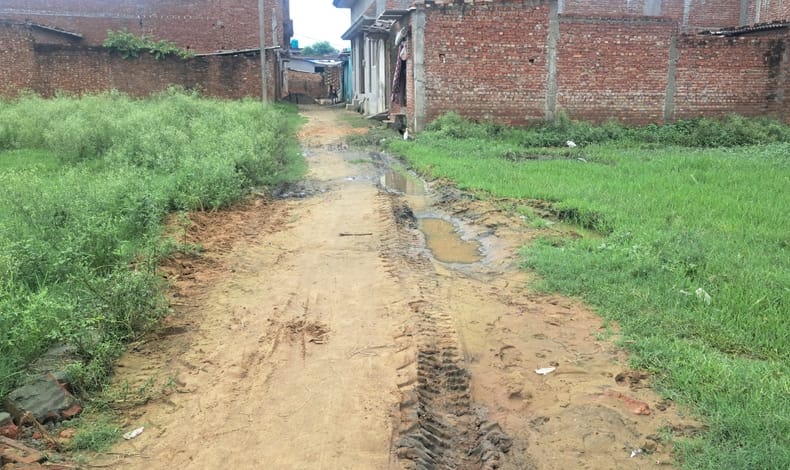 Arrangements were made to bury the cows before they died