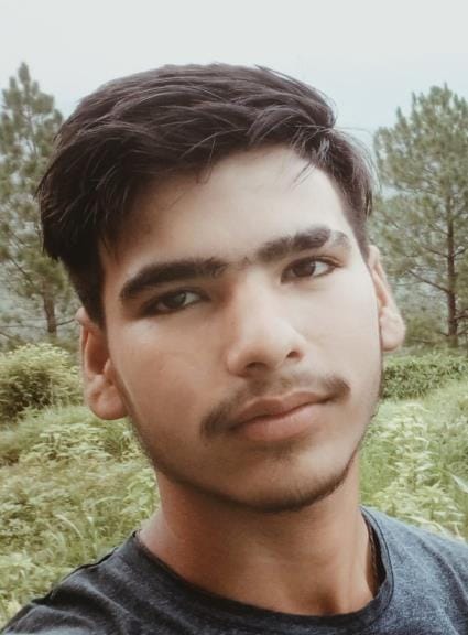 Young man dies as car falls into ditch, driver injured
