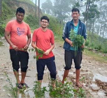 expressed protest by planting saplings in the road pit