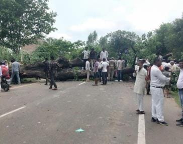 The tree remained jammed for two hours due to falling of trees, queues of vehicles