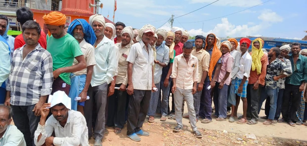 Farmers standing in queue for urea, paddy is turning yellow