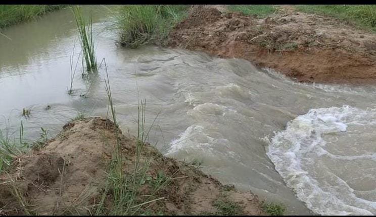 No attention was paid to the canal that was broken five days ago, the crops of the farmers are getting spoiled