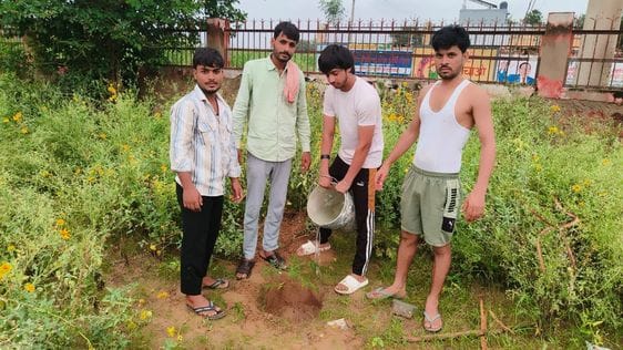 Plantation on the foundation day of the club