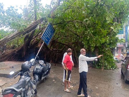 Pre-independence banyan trees in the city broken due to rain