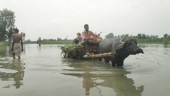 The water level increased by 20 cm due to the release of 59989 cusecs of water from Bijnor Barrage