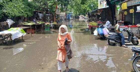 Waterlogging has caused business problems and livelihood is in danger