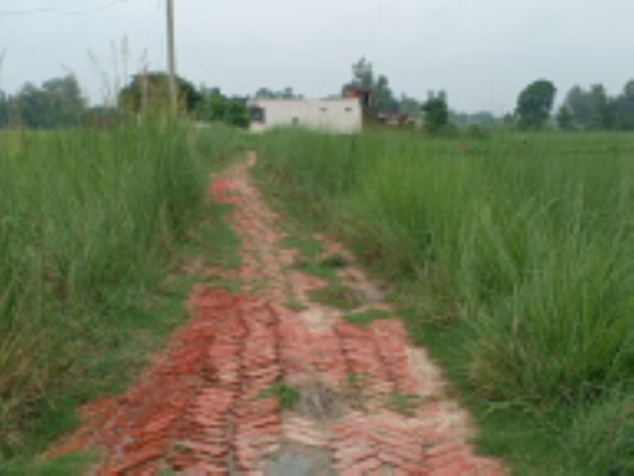 There is trouble due to bushes growing on the road, there is a risk of accident