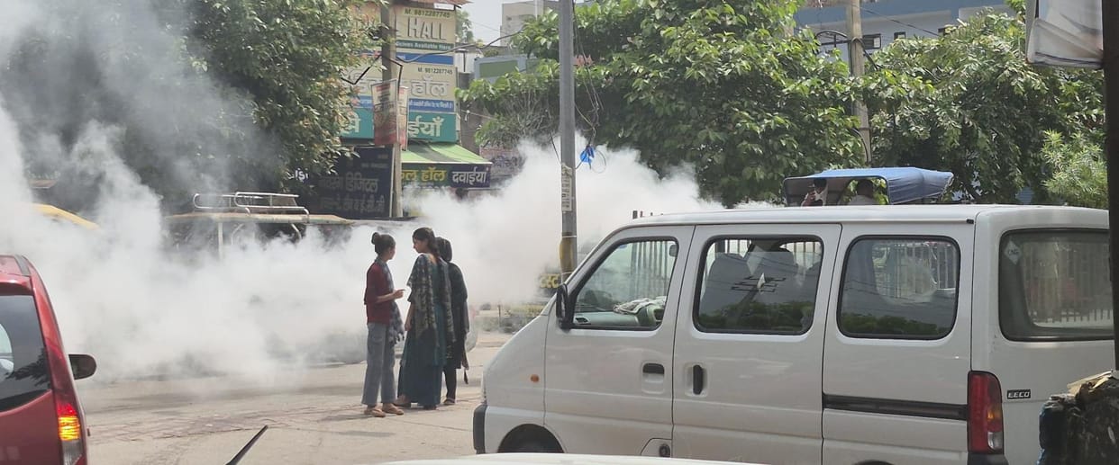 Mosquito infestation increased after rain, Municipal Council started ward wise fogging