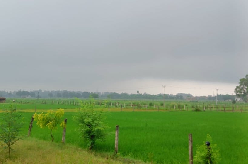 For the last three years, the rainfall in the district has been less than the average, farmers are worried