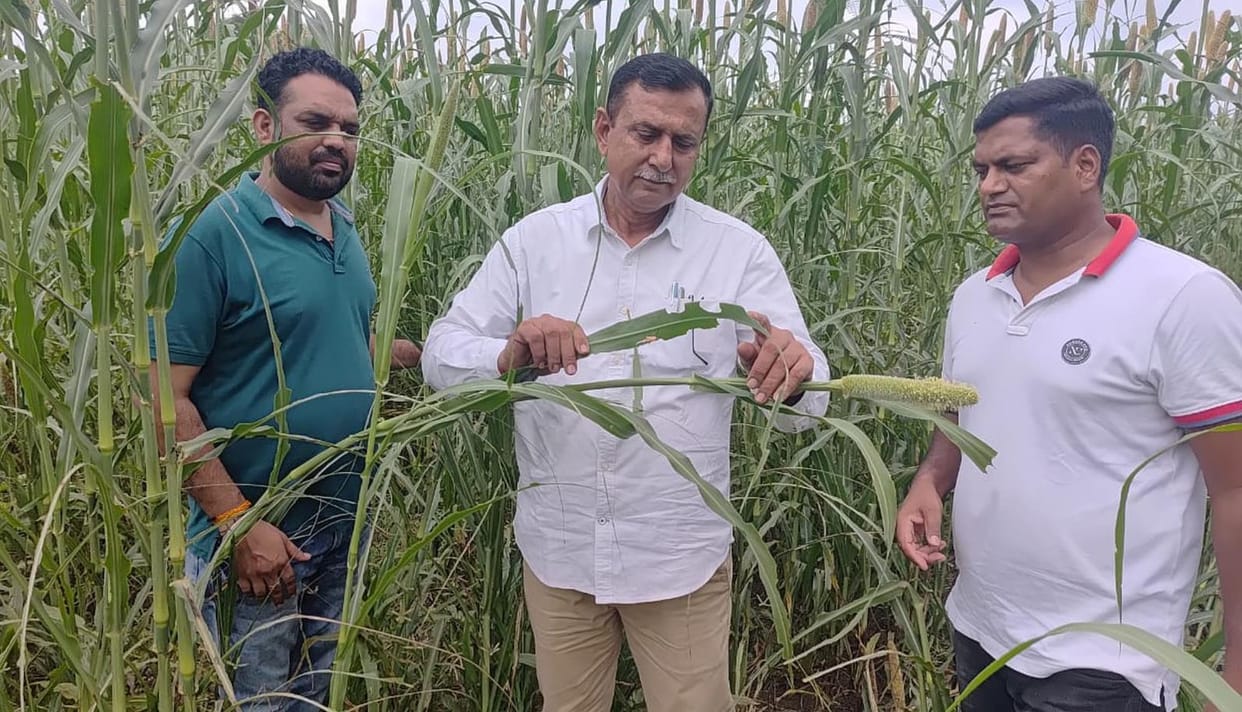 no tiddi dal in district