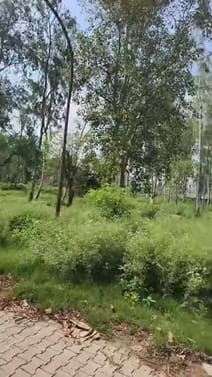 Pai's hospital building is dilapidated, accidents may happen