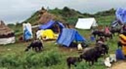 Flood in Chambal: 20 thousand population is facing the horror of flood