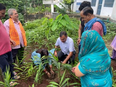 One plant in daughter's name campaign started from Chauntra