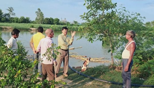 Economic condition changed due to earthworm compost and fish farming