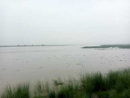 74 thousand cusecs of water released into Ganga from Bijnor Barrage