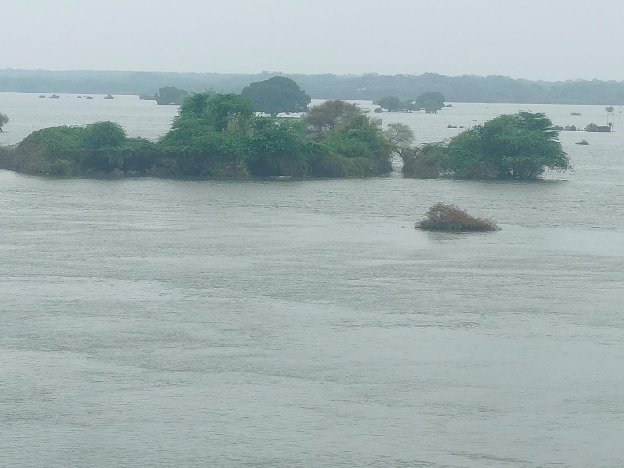 Yamuna's water level decreased by two meters in 24 hours, problems increased due to dirt and dampness