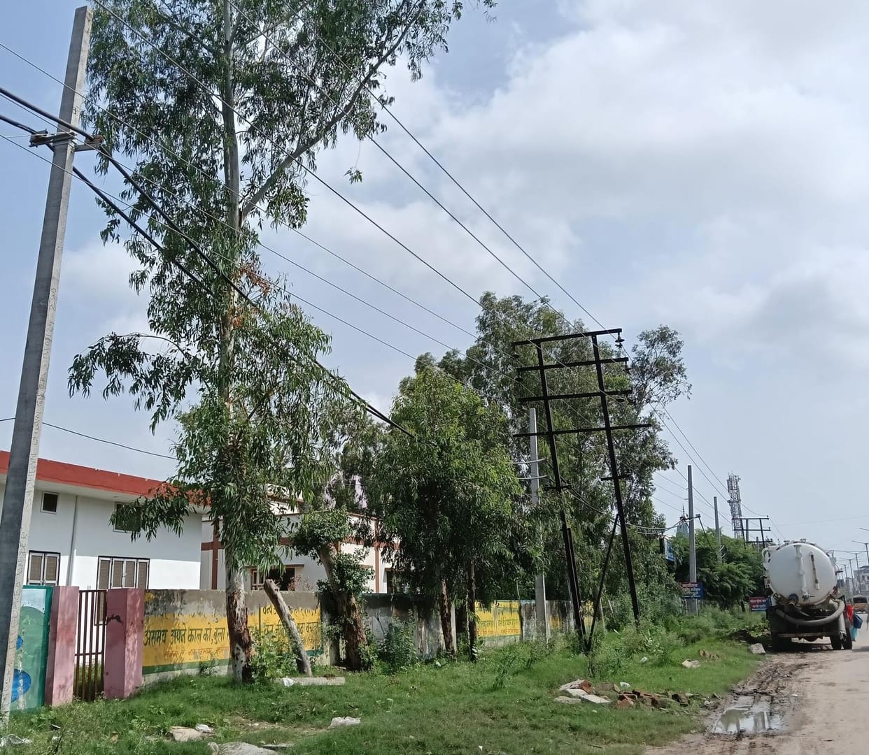 This time the forest department did not plant a single poplar sapling.