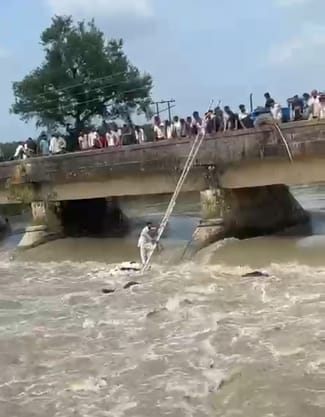 30 cattle flowed into the canal, five died due to drowning