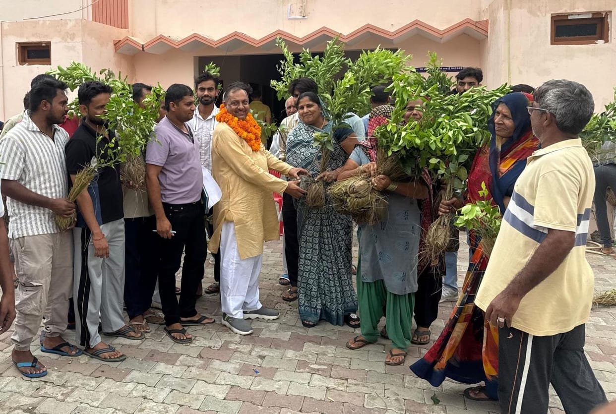 Under the watershed scheme, the distribution of fruit and flowering plants was carried out.