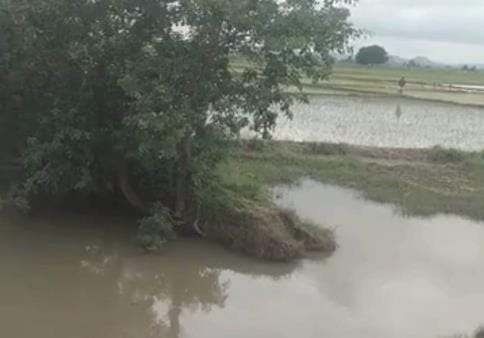 Due to the prevention of drain construction, crops planted on one thousand acres of land got submerged