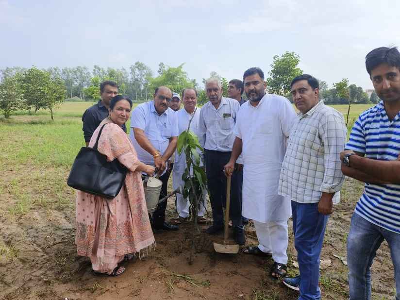 Plantation was done in Jat College under the campaign