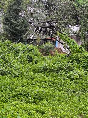 Explosion due to flashover at Badshahnagar substation, power remained off for five hours