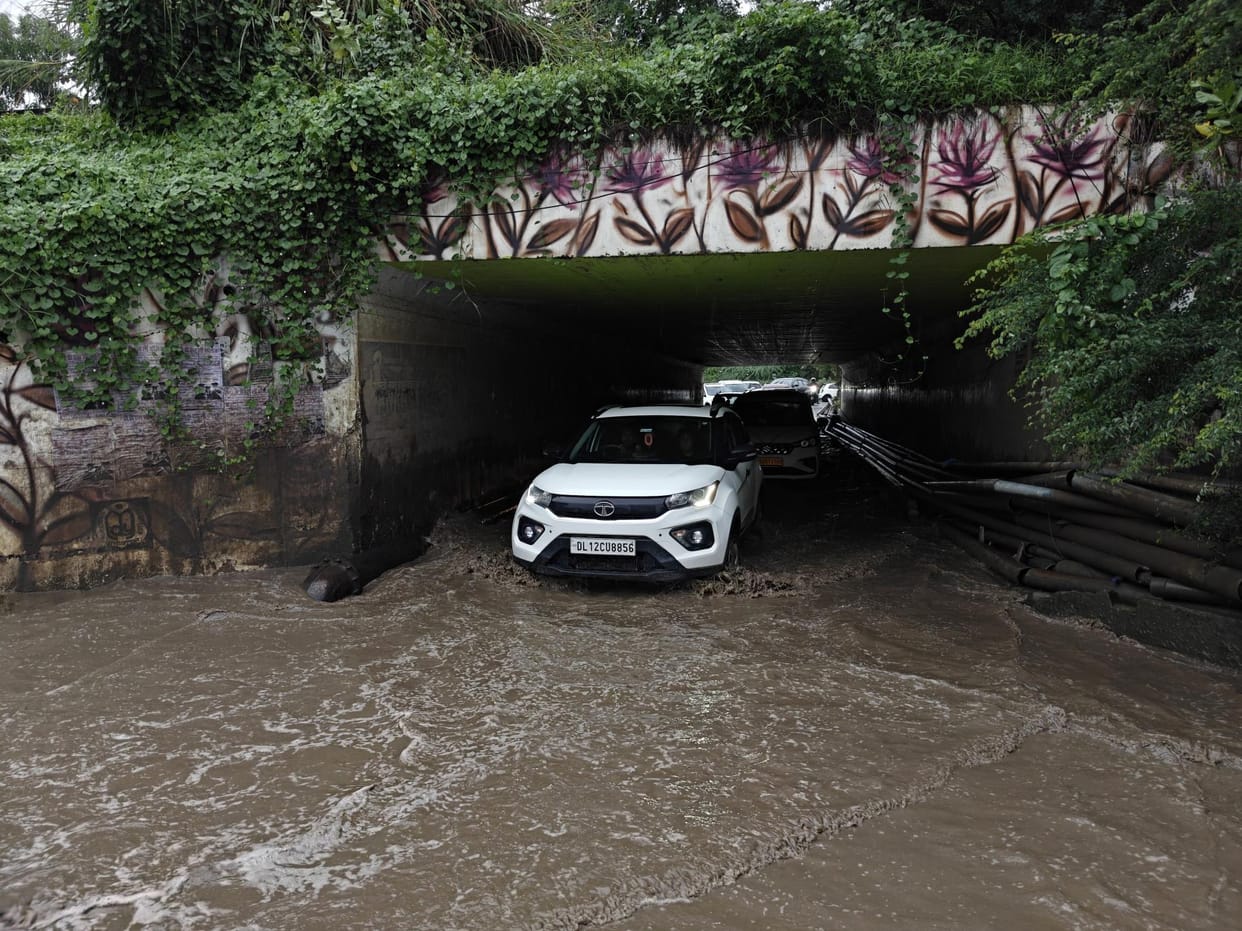 Due to rain, many areas of the capital are waterlogged and trees have fallen