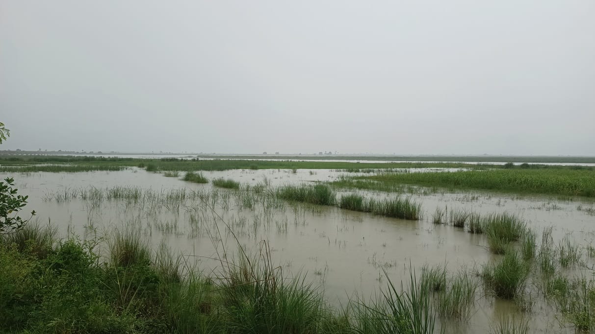 Ganga swelled, water entered the forest area, villagers in panic due to fear of flood