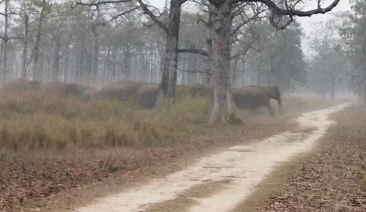 Gajraj left for Nepal tour from Katarnia, silence in the forest