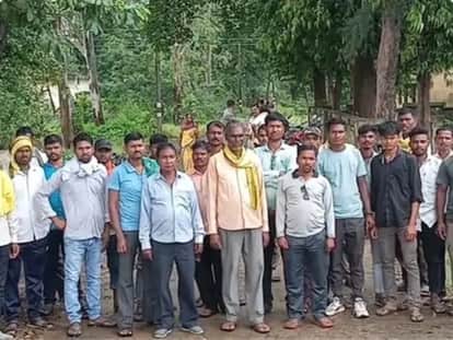 Balaghat News: Tiger Death Cover-Up Exposed via WhatsApp Post; 2 Officials Suspended for Burning Carcass