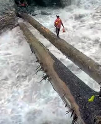 When the flood swept away the bridge, the tree stuck by fate became a bridge of hope