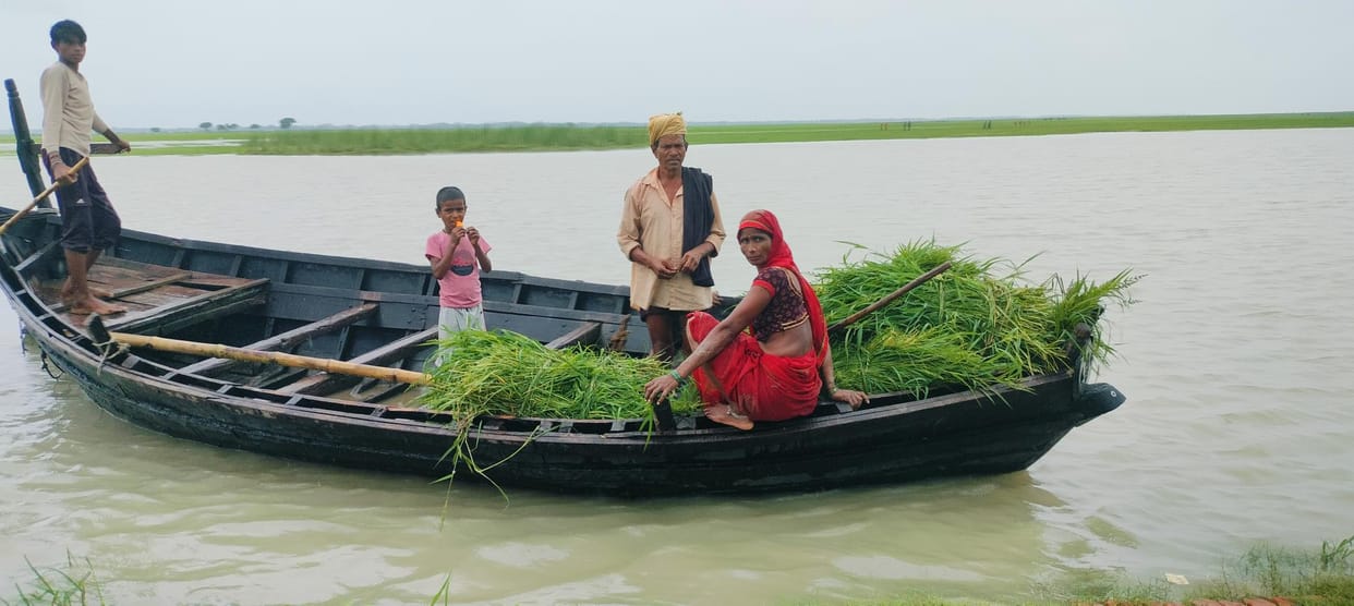 Saryu is rising... four villages are surrounded by water, 26 are in danger