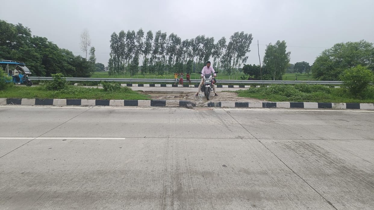 Hundred illegal cuts including small and big ones within a radius of 80 km
