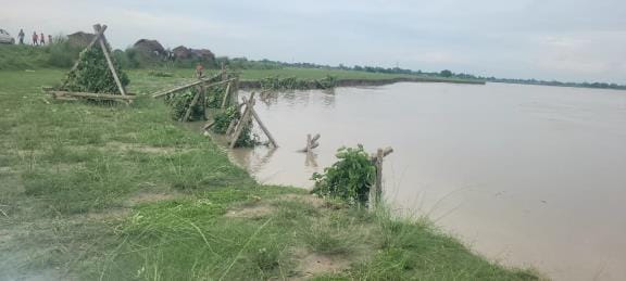 Gorakhpur News: Efforts to save Bagha Dewar village failed...porcupines drowned