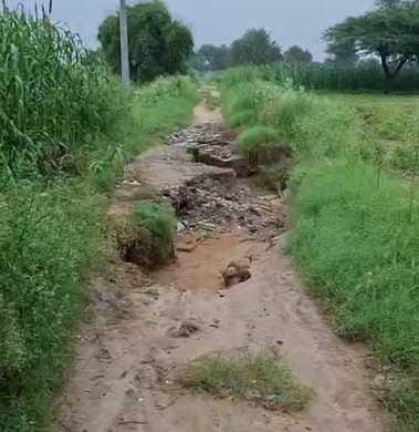 Demand for construction of kutcha road from Dhanonda to Karia
