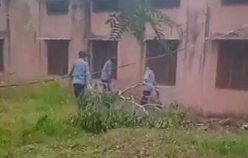 Students in government schools working first and then studying