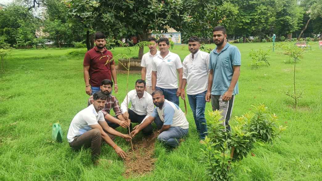 INSO celebrated foundation day by planting trees