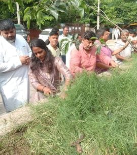 Instructions given to the municipality to maintain cleanliness in the city