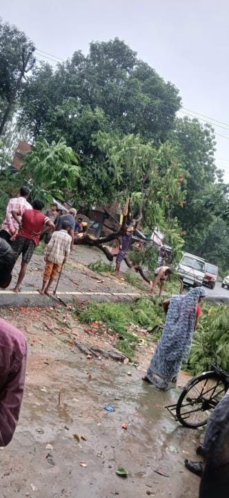 Traffic halted due to falling of tree on Unnao-Prayagraj road