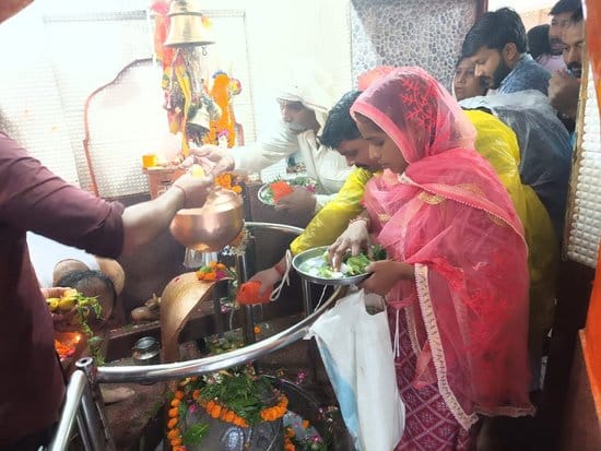 Abhishek of Lord Ashutosh was done with milk, curd and honey