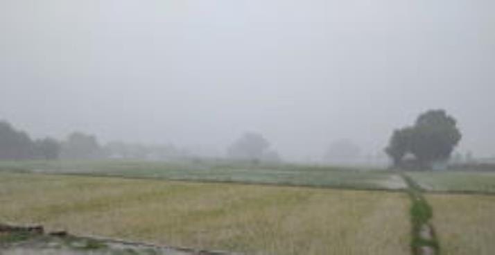 The weather is pleasant due to rain, yet the temperature increased by one degree
